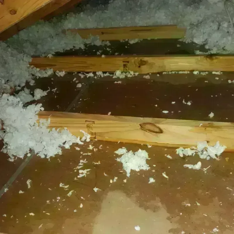 Attic Water Damage in Ceiba, PR